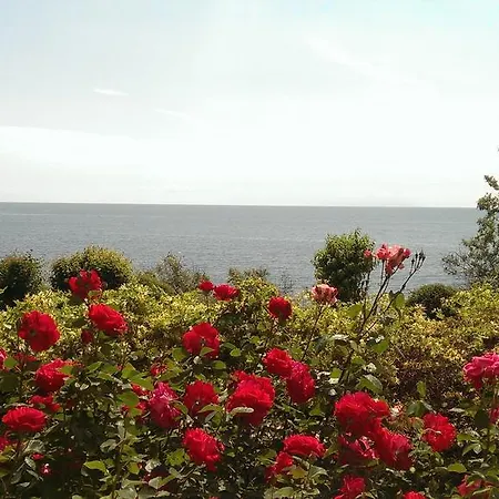 Vila Bella Vista Eforie Nord